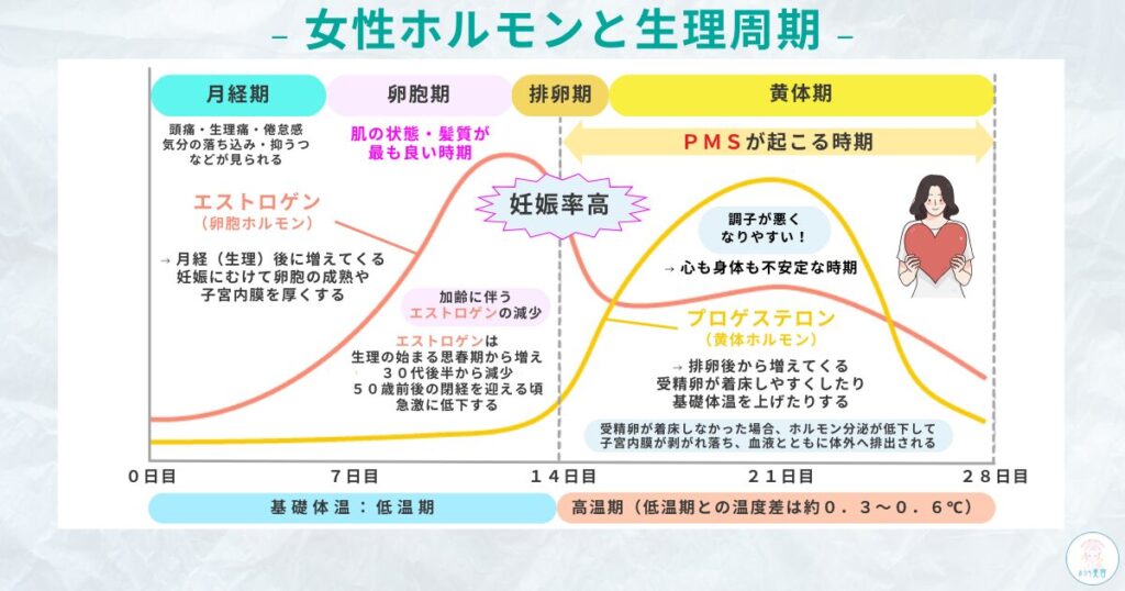 女性ホルモン 生理周期 肌荒れ グラフ